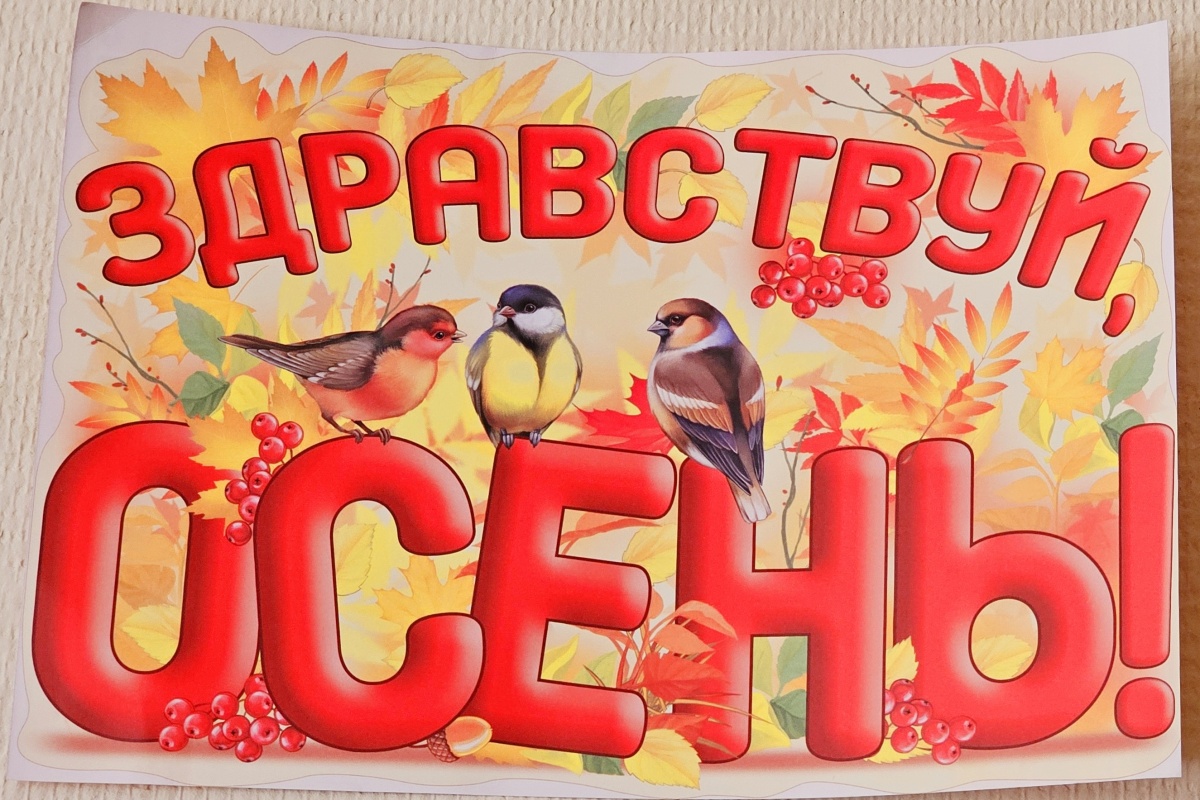 Новость от 7 сентября 2026